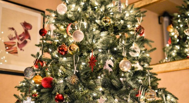 Albero di Natale: le proposte pi&ugrave; originali tra tradizione e innovazione