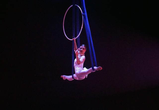 body ginnastica artistica