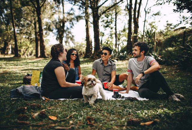 coperta picnic