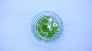 Crema all’Aloe Vera: i prodotti migliori per curare e idratare la tua pelle
