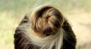 chignon