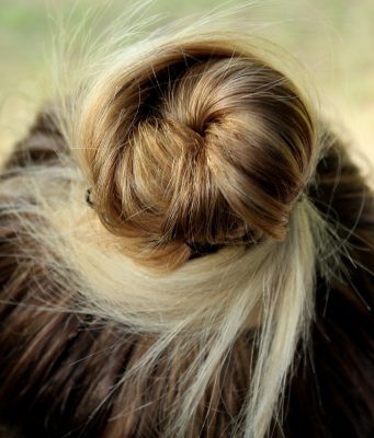 chignon