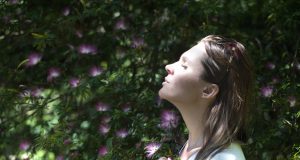 libri sulla meditazione