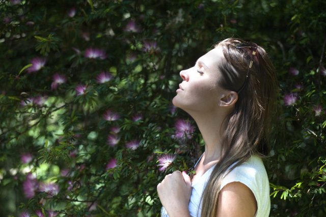 libri sulla meditazione