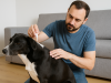 Antiparassitario per cani