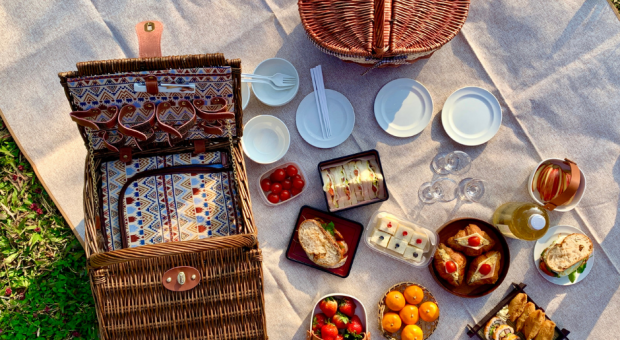 I Migliori Prodotti per fare Picnic al Parco