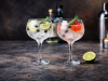 bicchieri da gin tonic