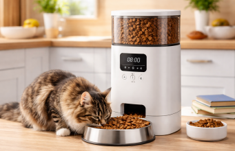 distributore automatico cibo gatti