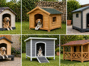 cuccia da esterno per cani